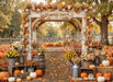 Pumpkin Perfection Arch (CC)