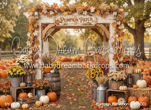 Pumpkin Perfection Arch (CC)