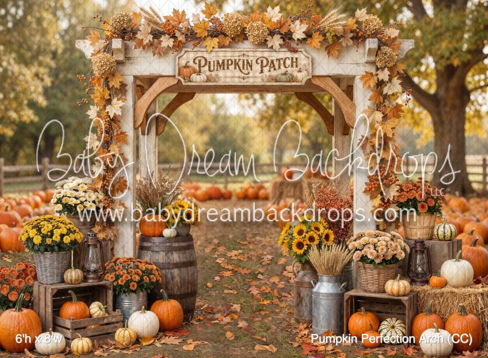 Pumpkin Perfection Arch (CC)