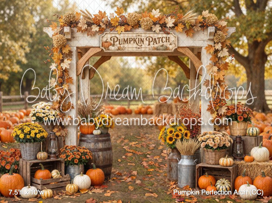 Pumpkin Perfection Arch (CC)