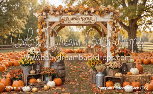 Pumpkin Perfection Arch (CC)