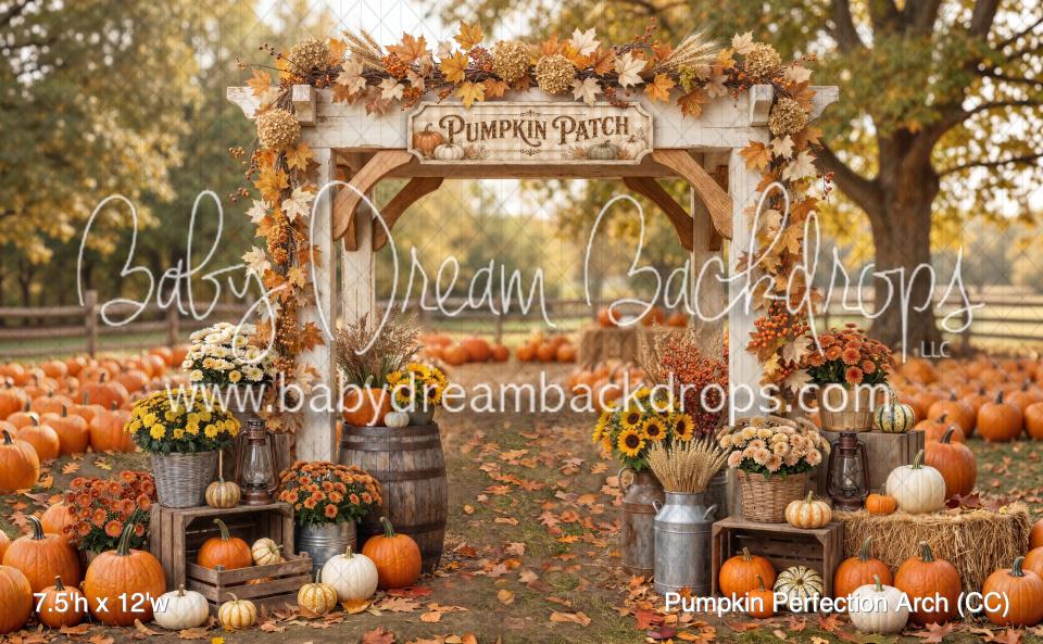 Pumpkin Perfection Arch (CC)