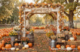 Pumpkin Perfection Arch (CC)