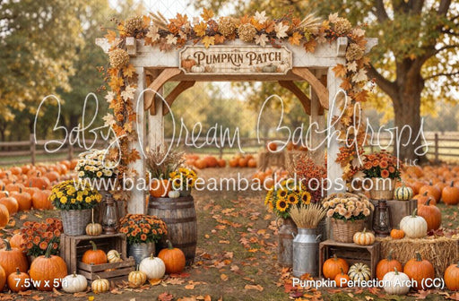 Pumpkin Perfection Arch (CC)