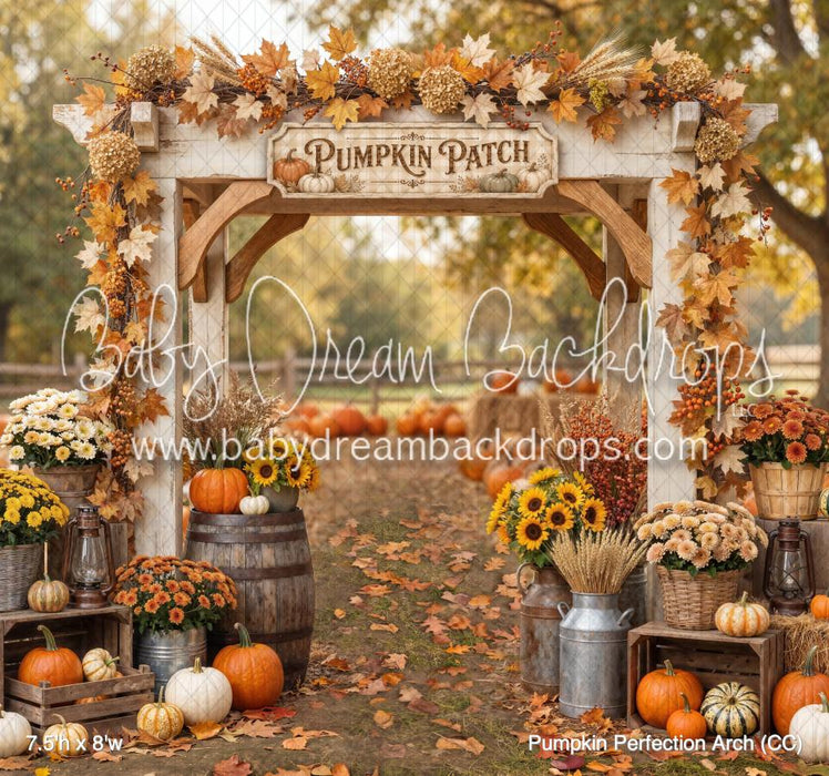 Pumpkin Perfection Arch (CC)