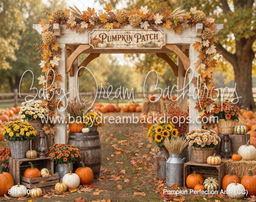 Pumpkin Perfection Arch (CC)