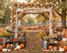 Pumpkin Perfection Arch (CC)