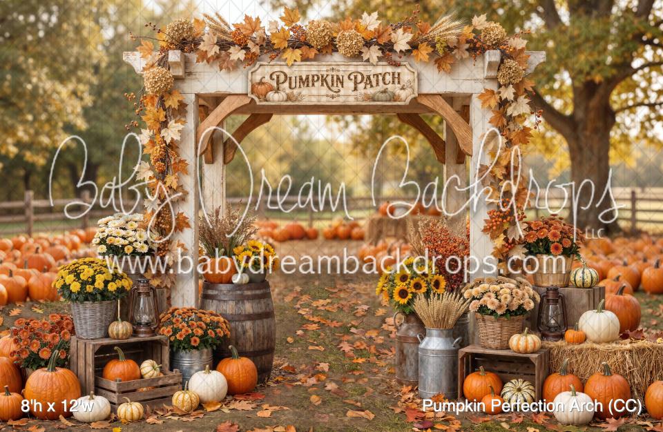 Pumpkin Perfection Arch (CC)
