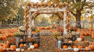Pumpkin Perfection Arch (CC)