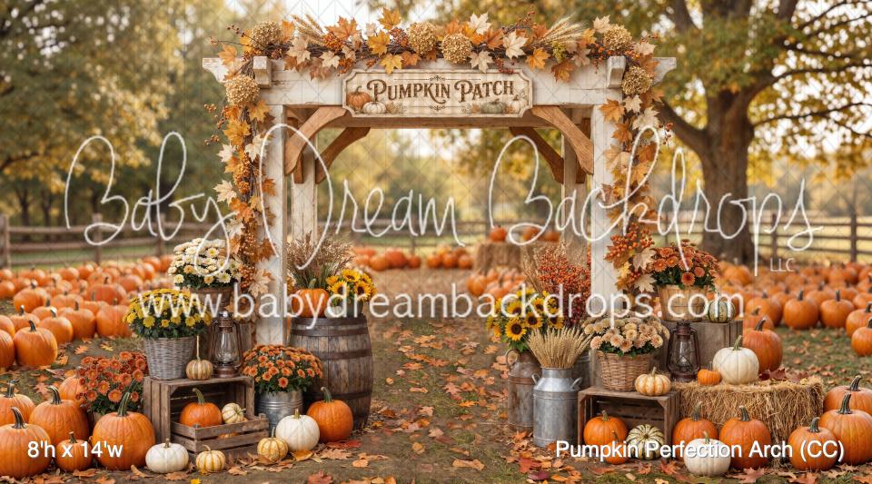 Pumpkin Perfection Arch (CC)