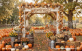 Pumpkin Perfection Arch (CC)