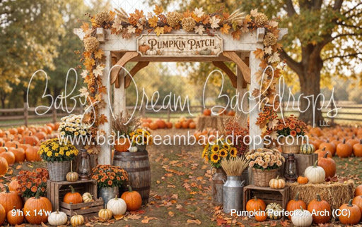 Pumpkin Perfection Arch (CC)