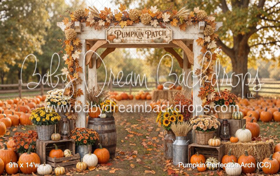 Pumpkin Perfection Arch (CC)