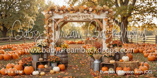 Pumpkin Perfection Arch (CC)
