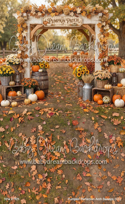 Pumpkin Perfection Arch Sweeps (CC)