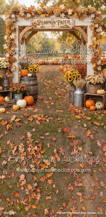 Pumpkin Perfection Arch Sweeps (CC)