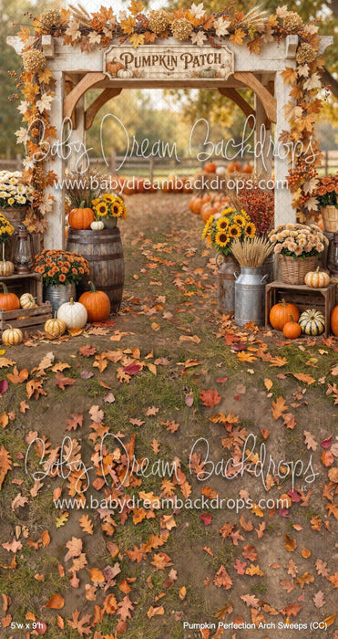 Pumpkin Perfection Arch Sweeps (CC)
