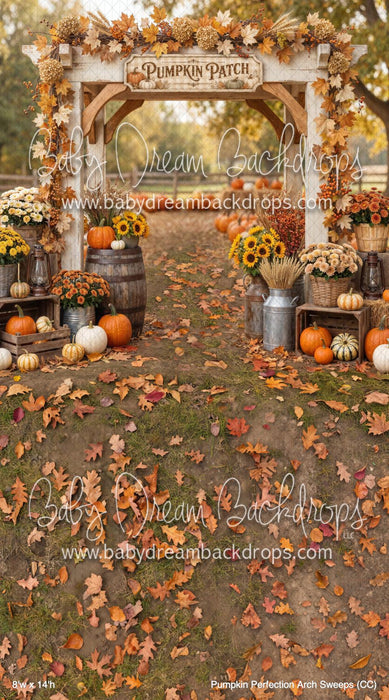 Pumpkin Perfection Arch Sweeps (CC)