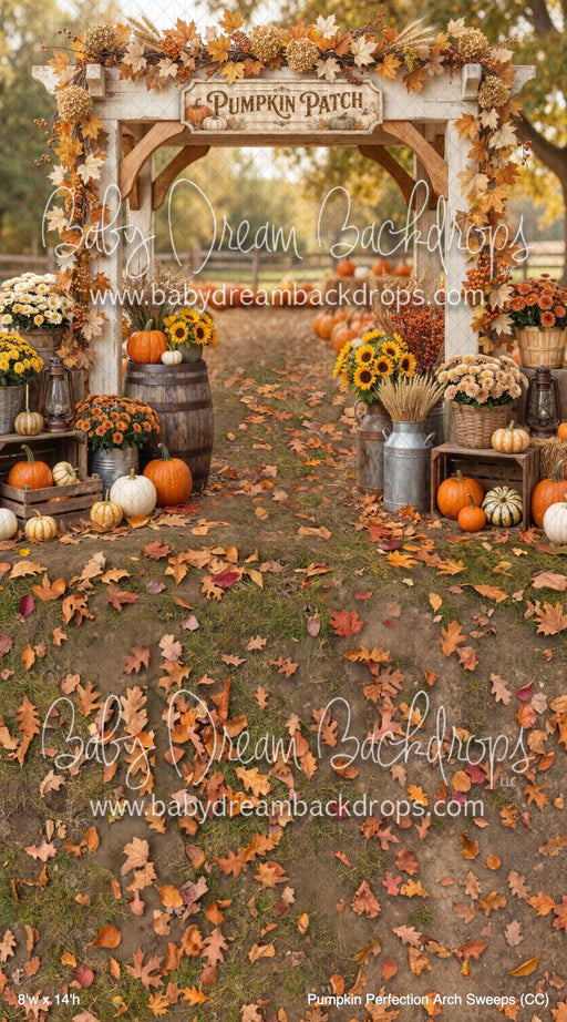 Pumpkin Perfection Arch Sweeps (CC)