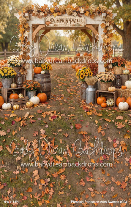 Pumpkin Perfection Arch Sweeps (CC)