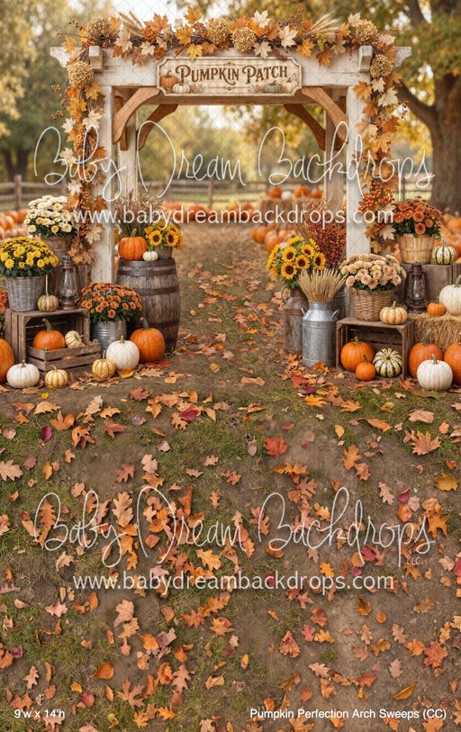 Pumpkin Perfection Arch Sweeps (CC)