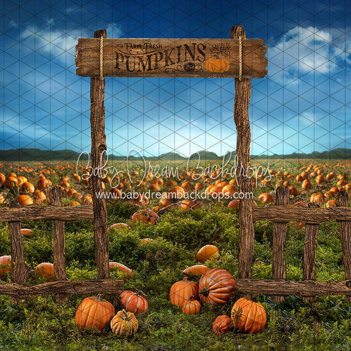 Pumpkin Picking Entrance (JA)