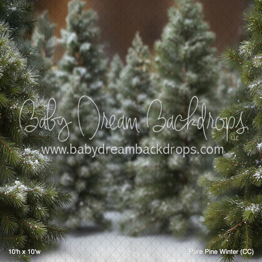 Pure Pine Winter (CC)