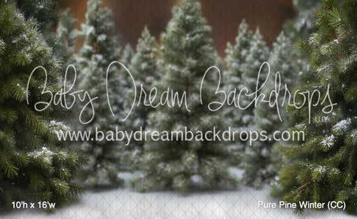 Pure Pine Winter (CC)