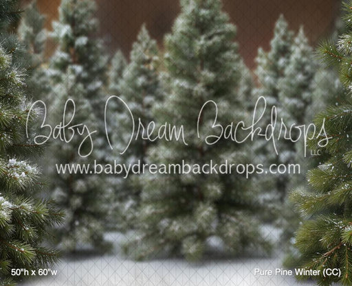 Pure Pine Winter (CC)