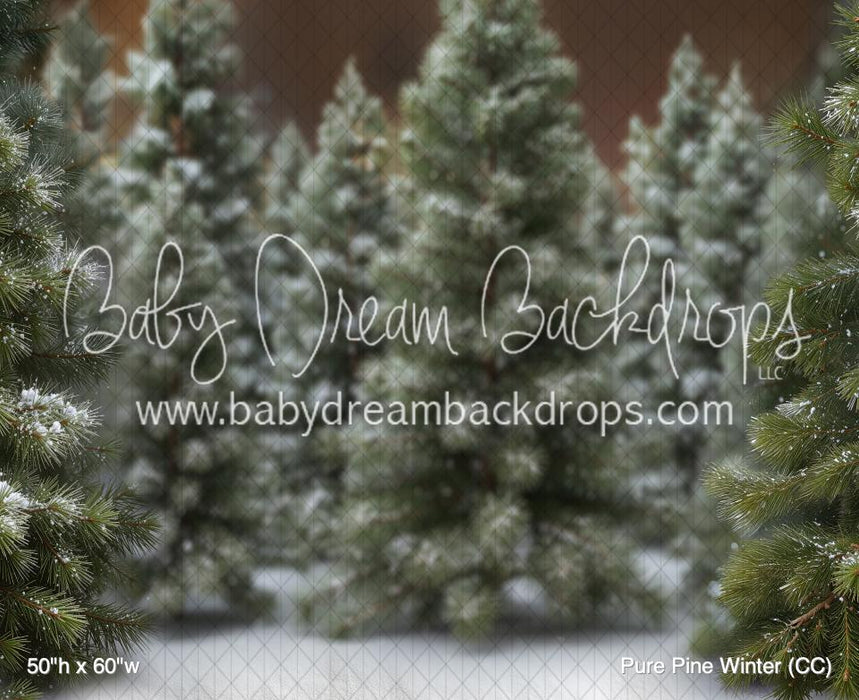 Pure Pine Winter (CC)