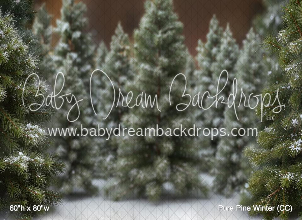 Pure Pine Winter (CC)