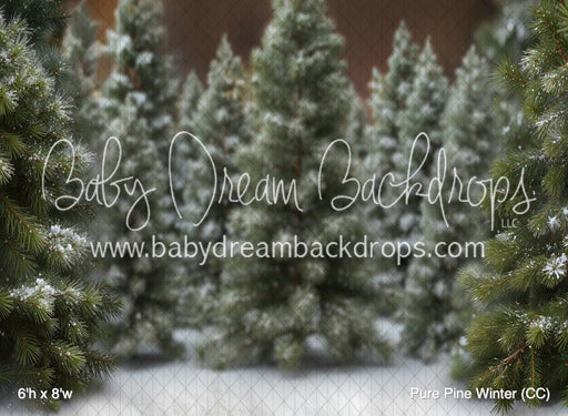 Pure Pine Winter (CC)