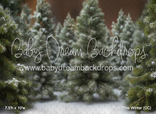 Pure Pine Winter (CC)