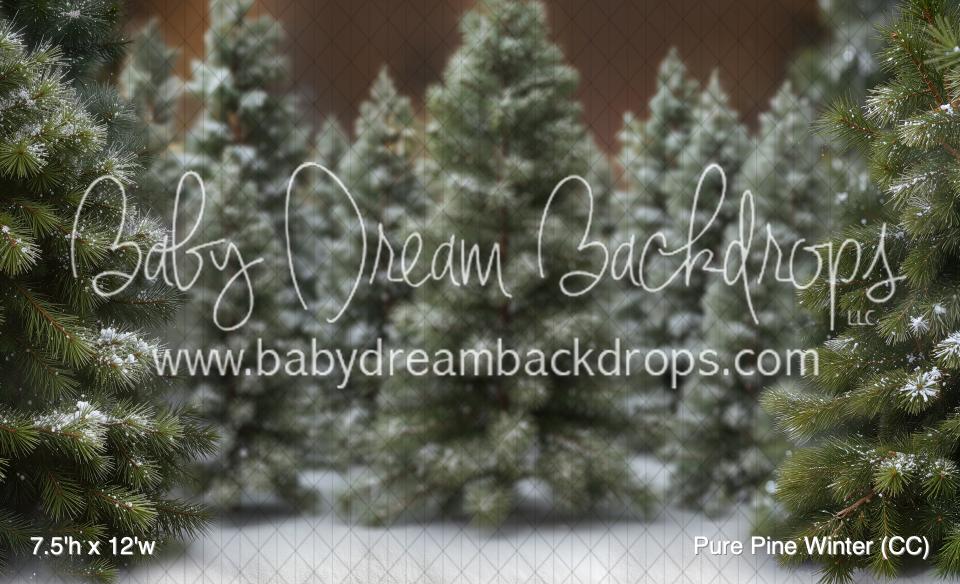 Pure Pine Winter (CC)