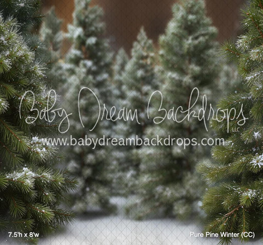 Pure Pine Winter (CC)