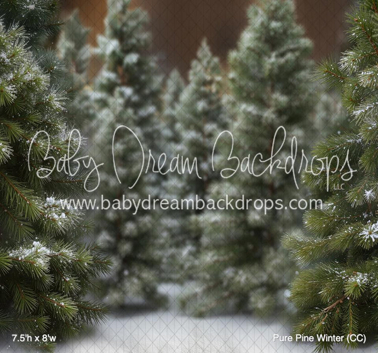 Pure Pine Winter (CC)