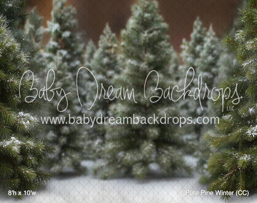 Pure Pine Winter (CC)