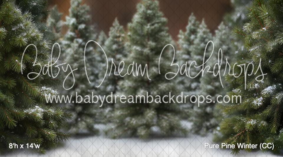 Pure Pine Winter (CC)