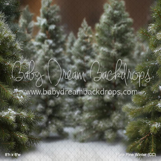 Pure Pine Winter (CC)