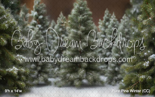 Pure Pine Winter (CC)