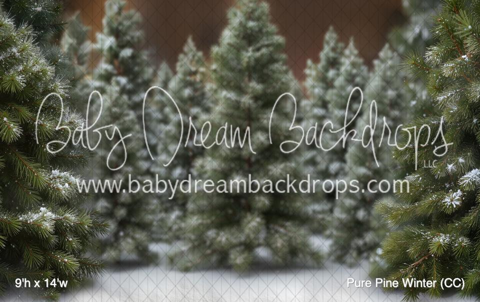 Pure Pine Winter (CC)