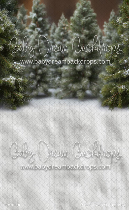 Pure Pine Winter Sweeps (CC)