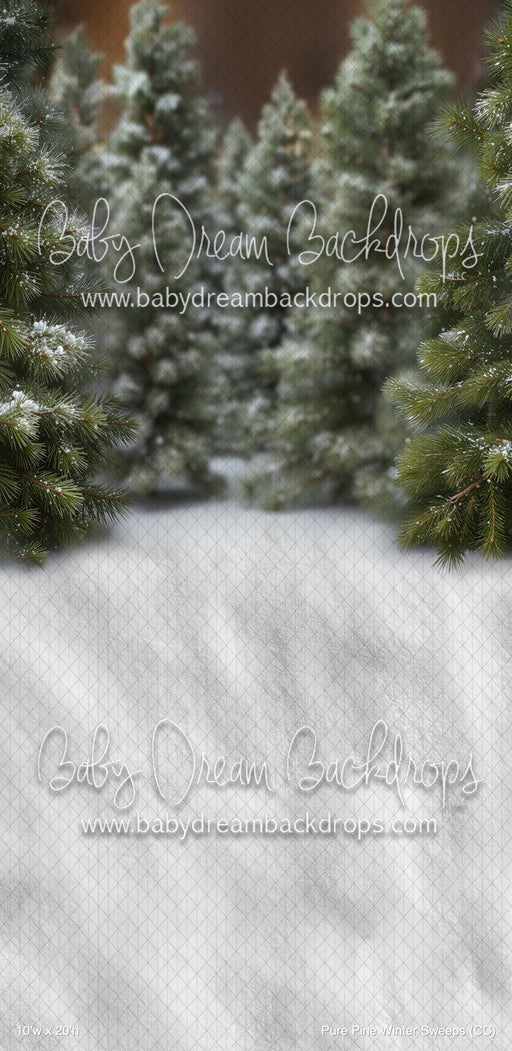 Pure Pine Winter Sweeps (CC)