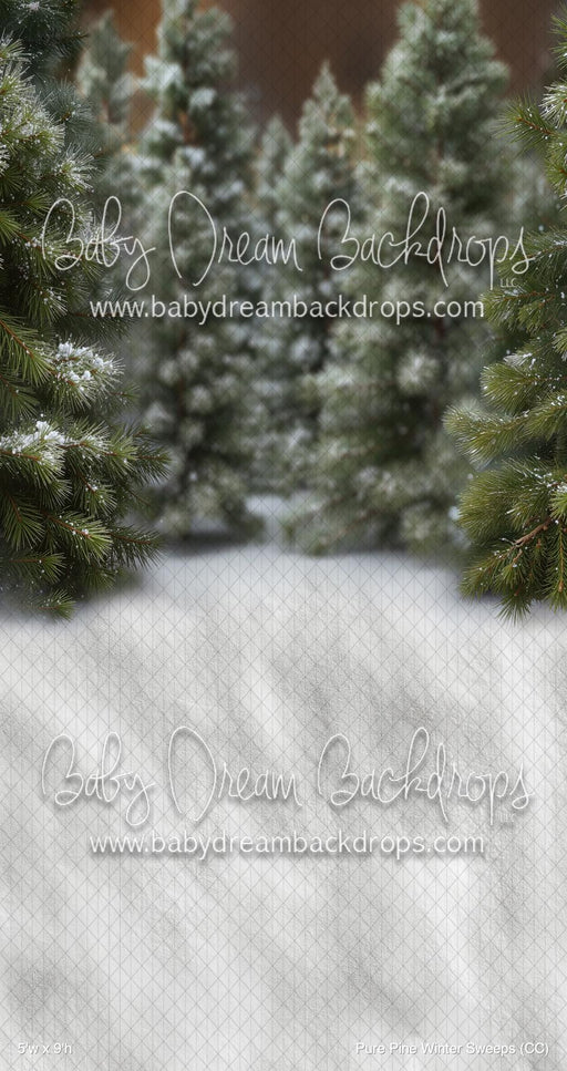Pure Pine Winter Sweeps (CC)