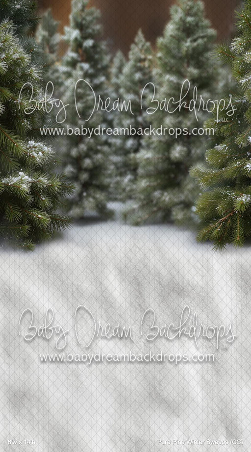 Pure Pine Winter Sweeps (CC)