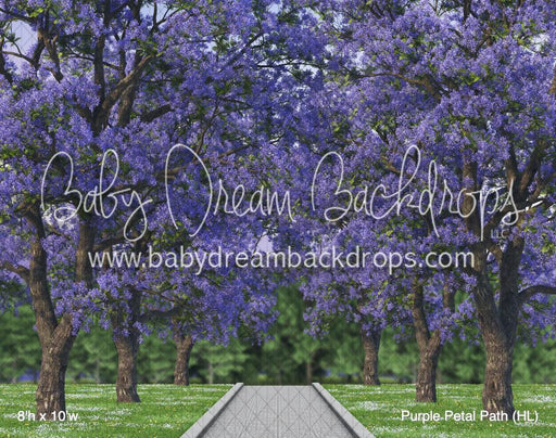 Purple Petal Path (HL)