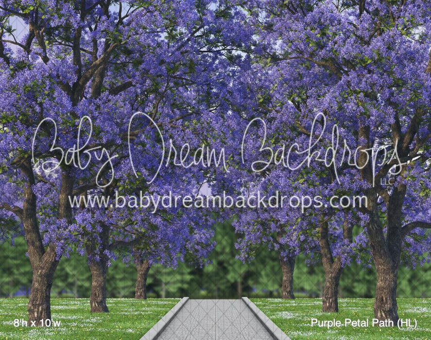 Purple Petal Path (HL)
