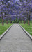 Purple Petal Path Sweep (HL)