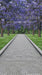 Purple Petal Path Sweep (HL)