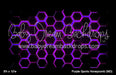 Purple Sports Honeycomb (MD)